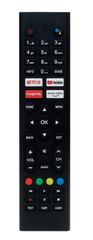 remote_w_mic
