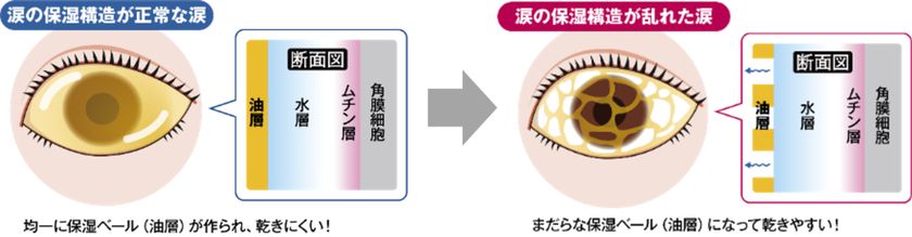 意外と知らない!?毎日のアイメイクで気をつけたいポイント 瞳を