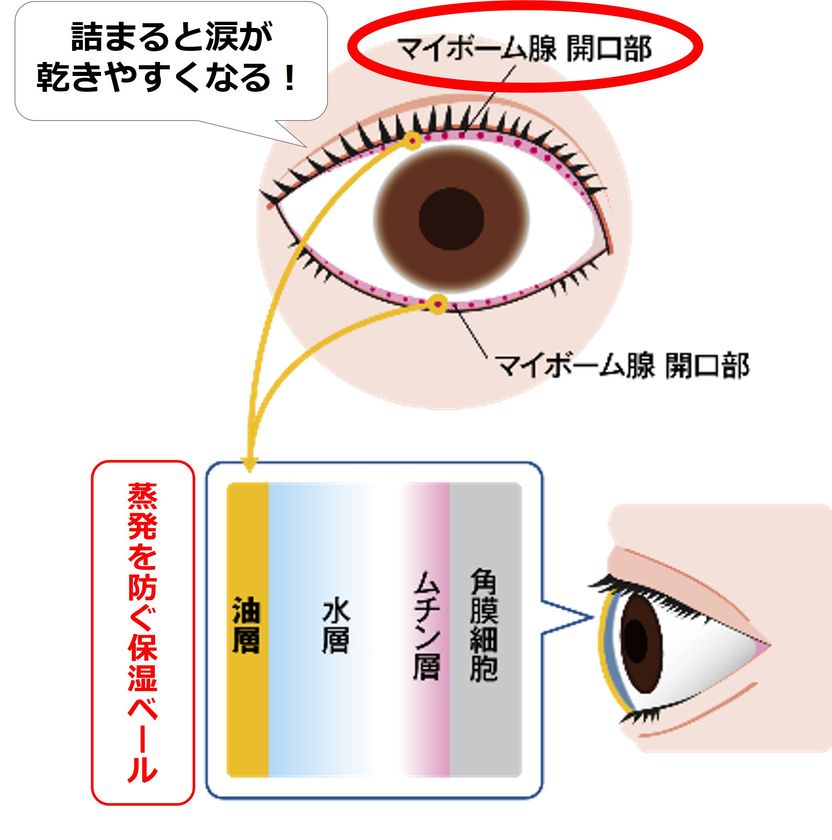 意外と知らない!?毎日のアイメイクで気をつけたいポイント 瞳を