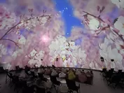 桜ウェルカムドーム_プラネタリアTOKYO_DOME1
