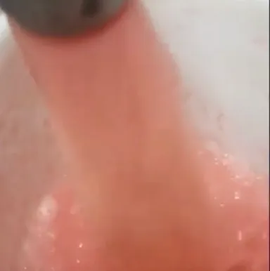 果皮とタネを取り除き果肉だけにする一次加工