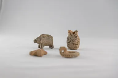 まだ知られざる縄文の文化を発見