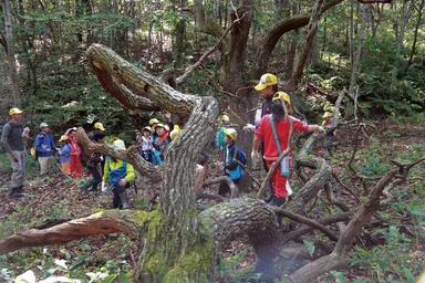 森で活動する子どもたち