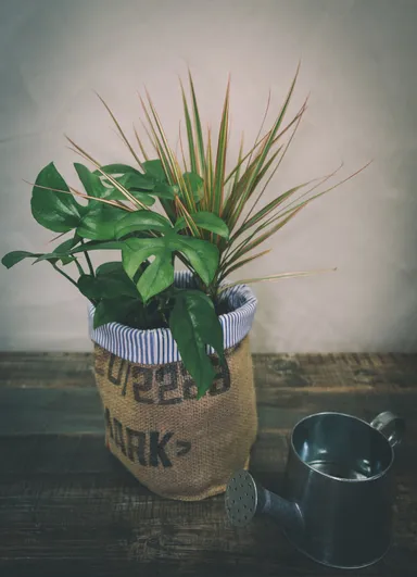 麻袋と廃棄衣服のプランター 3