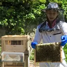 島の新たな産業づくりに挑戦「養蜂」
