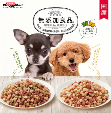 からだ想いの毎日ごはんメインイメージ