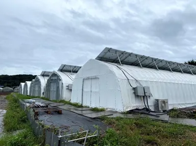 東京都西多摩郡瑞穂町(農園)