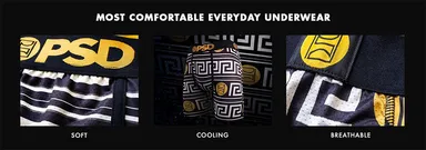 PSDテクノロジー