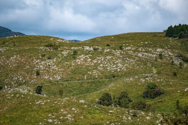 秋吉台コース風景(1)
