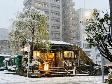 数々のドラマのロケ地にもなっている柳橋