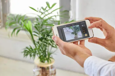 専用アプリでお部屋の明るさを計測してから注文