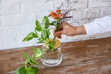 お好きな切り花を入れて華やかに