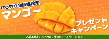 マンゴーキャンペーン