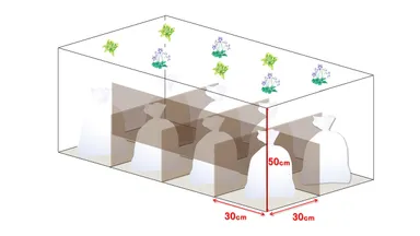 図1)新しい合葬墓・野の花(ののはな)