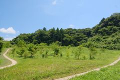 森の墓苑全景
