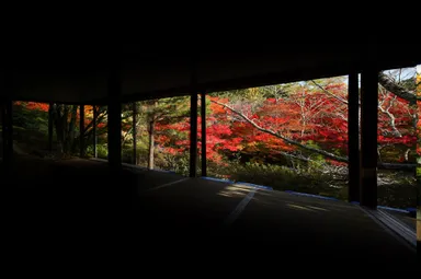 荻野尾御茶屋から望む紅葉