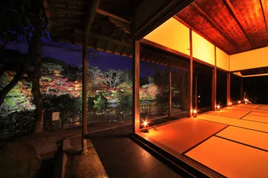 ライトアップ時の荻野尾御茶屋