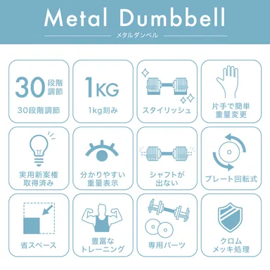 ライシン メタルダンベル 特徴