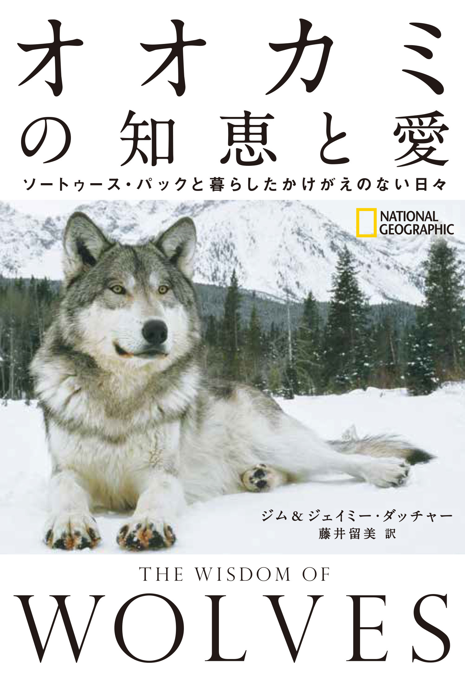 書籍『オオカミの知恵と愛ソートゥース・パックと暮らしたかけがえのない日々』発売中｜日経ナショナル ジオグラフィック社のプレスリリース