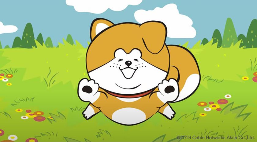 秋田犬たれみみだいちゃん公式twitter1 5万 わんこ フォロワー達成記念 Amazon ギフト券が抽選で55名様に当たる プレゼントキャンペーン実施中 株式会社秋田ケーブルテレビのプレスリリース