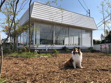 クレアとドッグラン