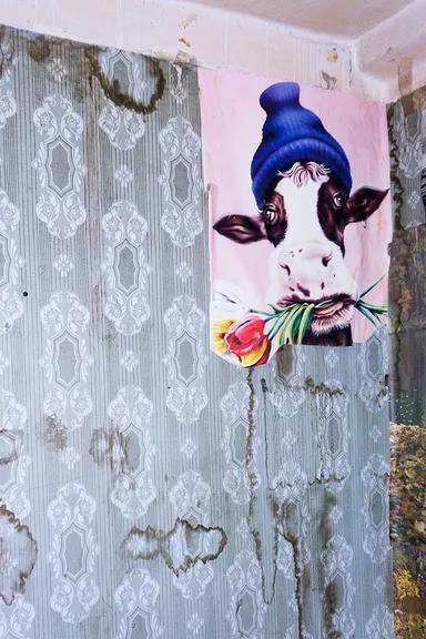 アレクサンドル・エゴロフ(ロシア、1987)　《NN号室〈ビーニー帽をかぶった牛のポスター〉》 2016 (C)Alexander Yegorov