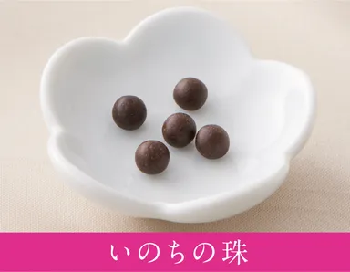 昔ながらの丸薬製法