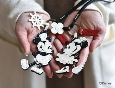 ワクワクチャーム ディズニーキャラクター