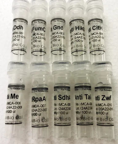 販売される抗体が入った製品チューブ