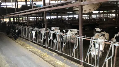 六甲ビール　SDGsへの取り組み