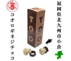ご当地昆虫食(福岡県北九州)　コオロギネジチョコ