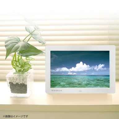 鮮明な画像がスライドショーで楽しめる