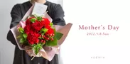 noemie Mother's Day