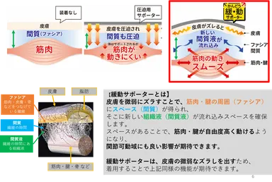 緩動機能の説明画像