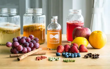 KOMBUCHA(スコビー／2次発酵で使うフルーツ)