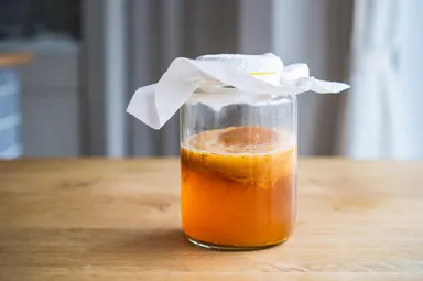 KOMBUCHA(1次発酵／スコビー付き／プレーン紅茶)