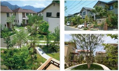 「5本の樹」計画の取り組みによって植樹された当社分譲地の様子