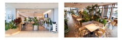  Cafe & Bar 「U」