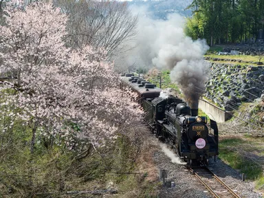 SLパレオエクスプレス　イメージ
