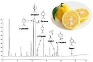 柚子パウダーTE(40℃、60日保存後）の香気成分(GCクロマトグラフ)