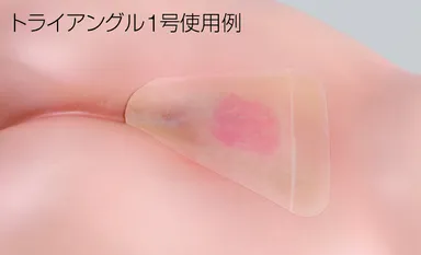 トライアングル1号使用例