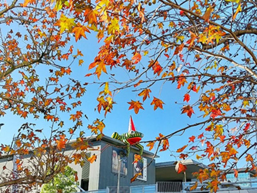 596点の応募作品から、計16点の入選作品が決定！
「ミュージアムロードInstagramフォトコンテスト」
結果発表