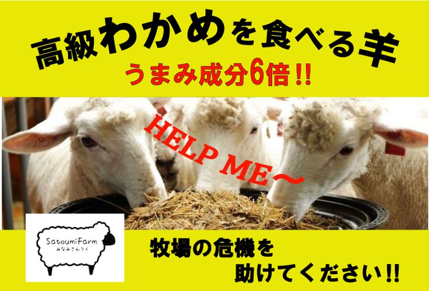 宮城県南三陸町で地域資源を活用して生まれた「南三陸わかめ羊」
コロナ禍の牧場継続の為に3月22日まで
クラウドファンディング挑戦中!