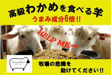 クラウドファンディングトップページ