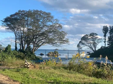 牧場の高台から見える風景