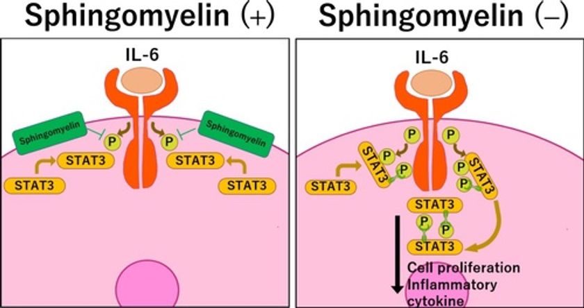 ジェヌインR&Dと麻布大学獣医学部 生化学研究室による共著論文が 