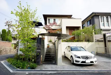 樹木の生産農場で選んだヤマボウシ(左手前)アオダモ(奥玄関右手)