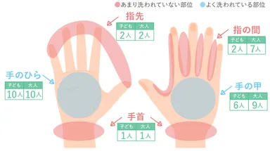 図2　各部位を毎回洗っている人の人数(子ども、大人各n=10)