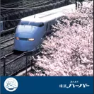 横濱ハーバースペシャルカード 2