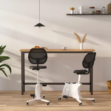 チェアバイクSit2Go FC211